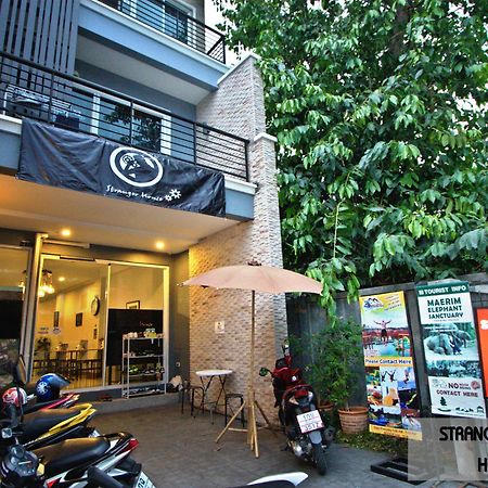 Stranger House Hostel Chiang Mai Ngoại thất bức ảnh